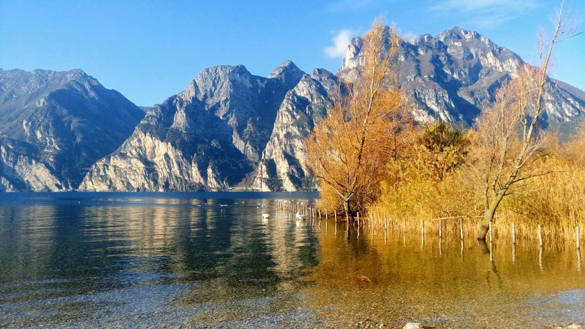 Casa Fiorella Torbole Sul Garda Exteriör bild